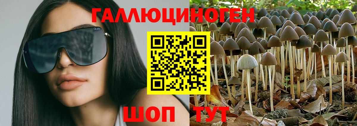 Галлюциногенные грибы мицелий Сибай